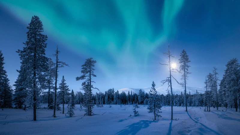 Pallas-Yllästunturi National Park